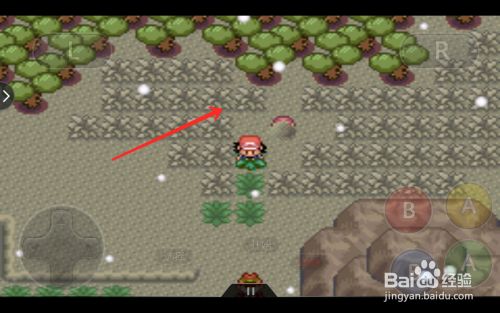 口袋妖怪晃晃斑怎么抓 百度经验