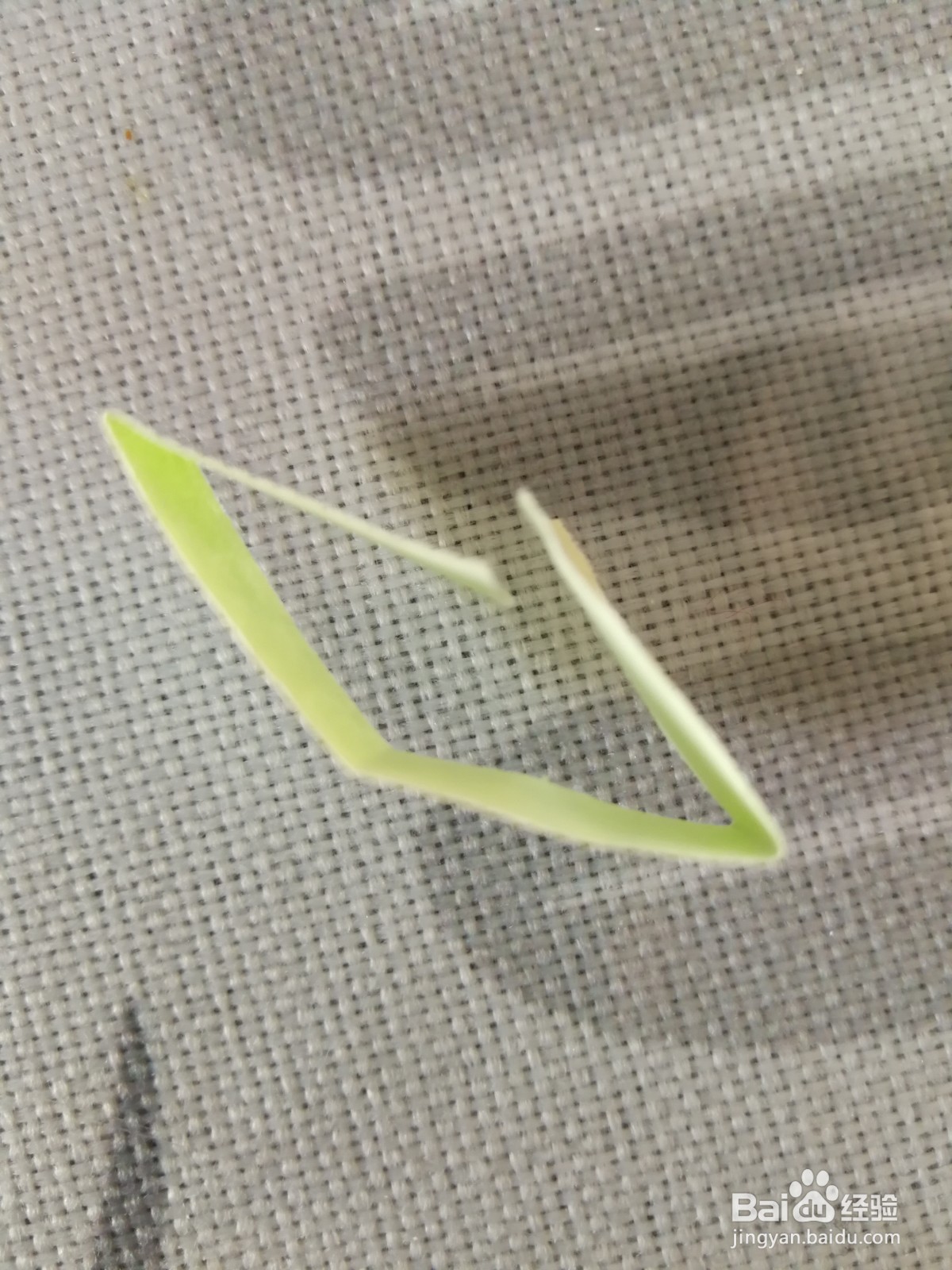 漂亮的彩纸拉花