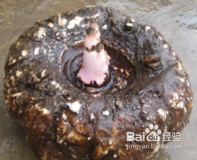 减肥最快的秘诀