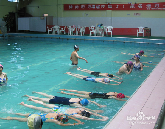 新手应该怎么学习游泳