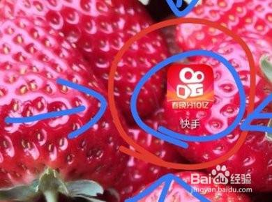 快手如何退粉丝团