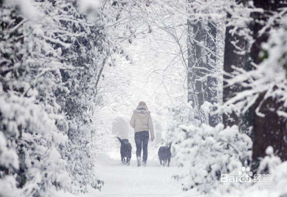 冬季应当注意那些事项