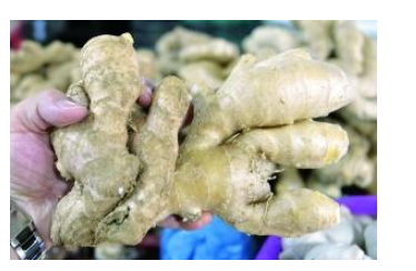 生姜的储存方法