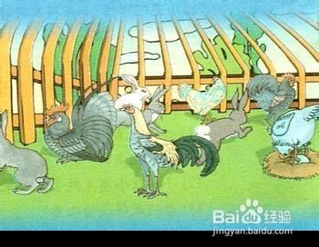 小学经典数学题解法之【鸡兔同笼】