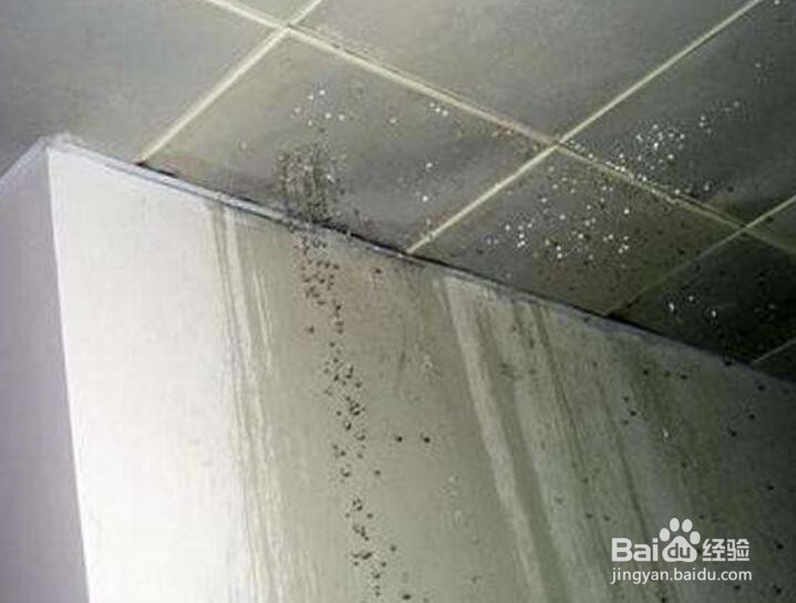 天花板漏水应该如何处理?