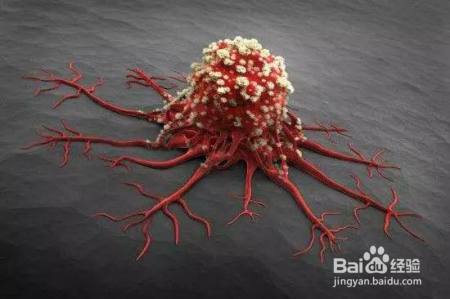 腰越粗，越容易患癌？这次真不是骗你减肥！