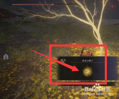 艾尔登法环肯尼斯海德支线任务怎么做