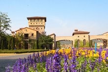 广州市花都区九龙湖度假区旅游分享