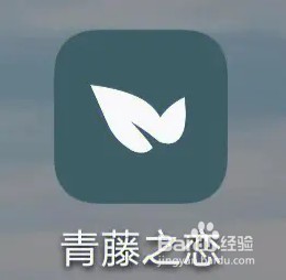 青藤之恋如何开启互动通知