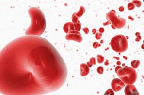 孕早期准妈妈需做的常规检查