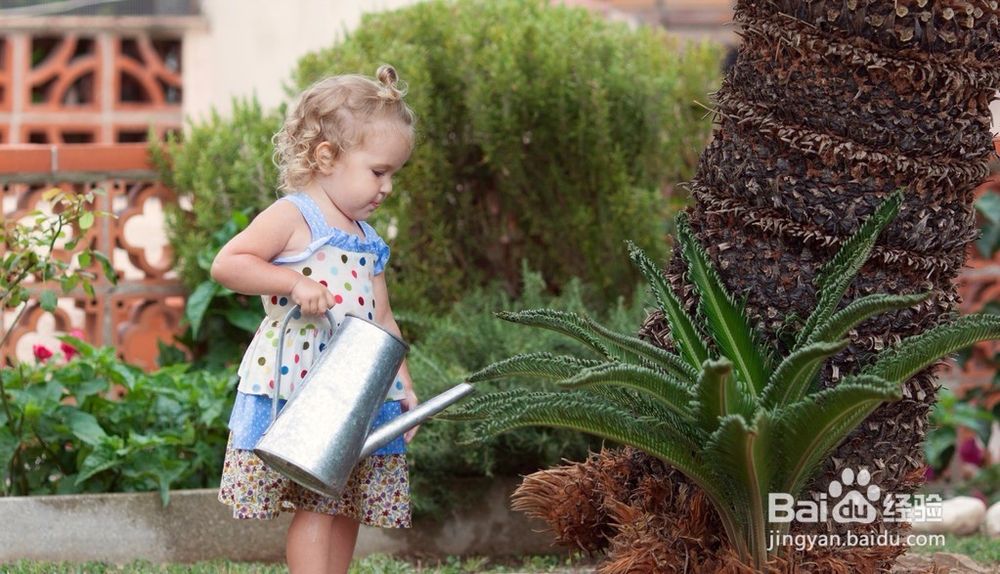 浇花用什么样的水好