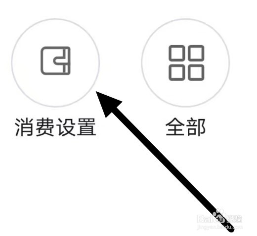 QQ阅读如何设置“消费设置”？