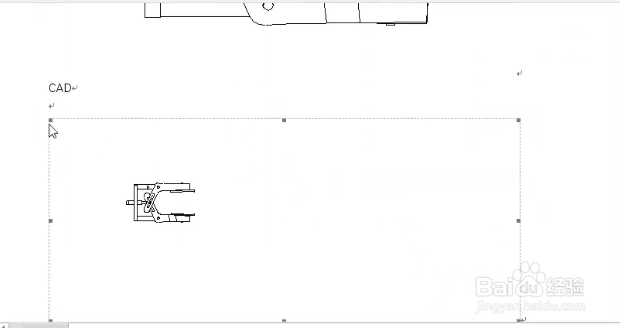 cad图怎么粘贴到word？
