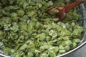 怎么做美味的榆钱饭