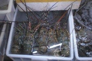 三亚第一市场吃海鲜