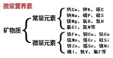 女人保持健康不可或缺的营养物质