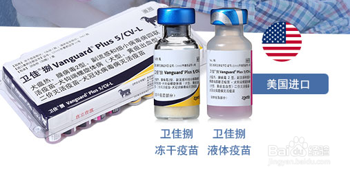 经验分享：卫佳捌和宠必威哪个好？