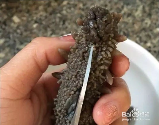 新鲜海参的处理方法和怎么保存