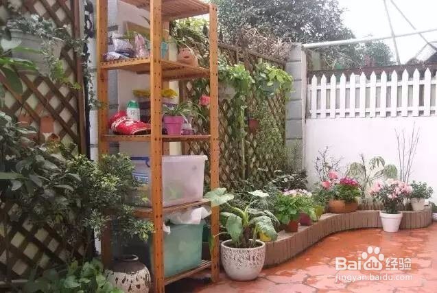 50岁回农村,一栋房、一个庭院、就此过一生!