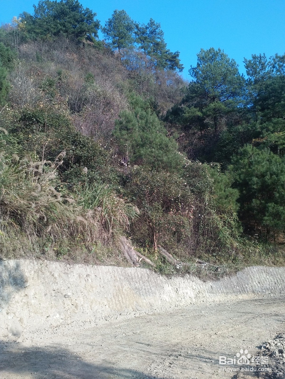 田云青老师旅游景观册编辑方法