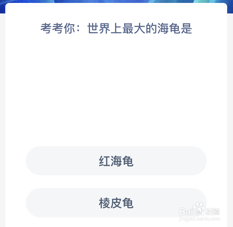 神奇海洋：考考你世界上最大的海龟是
