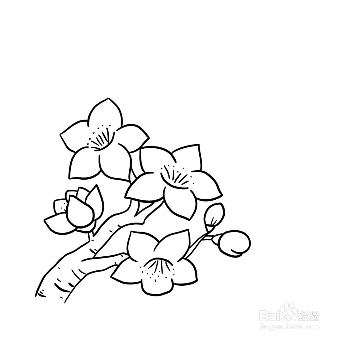 怎么画桃花简笔画