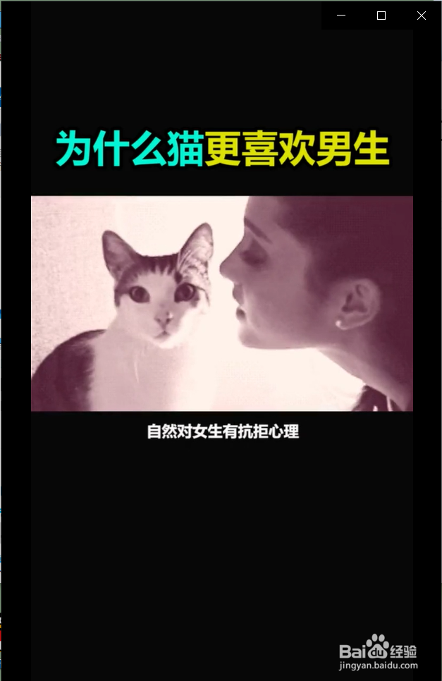 为什么猫咪更喜欢男生