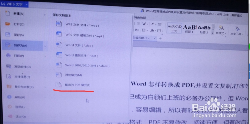 Word怎样转换成PDF,并设置文档复制,打印等权限