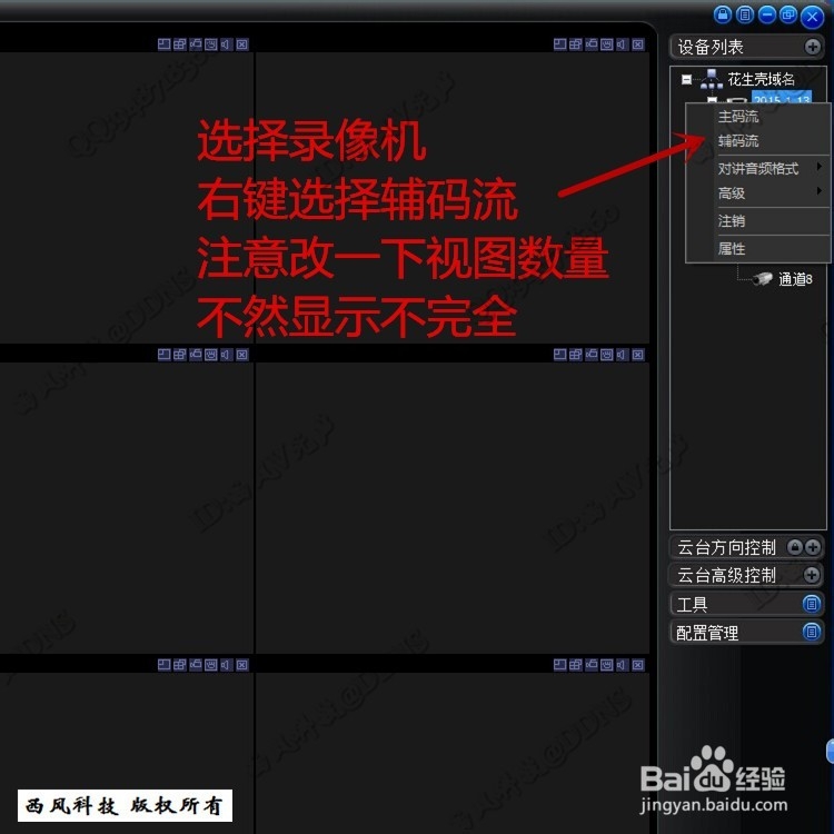 3322 花生壳远程访问大华客户端