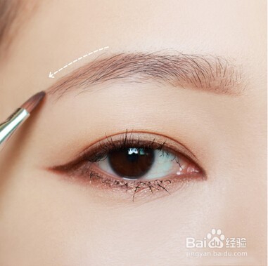 新手怎么画好眉毛？