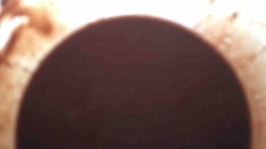 三色玛德琳蛋糕的做法