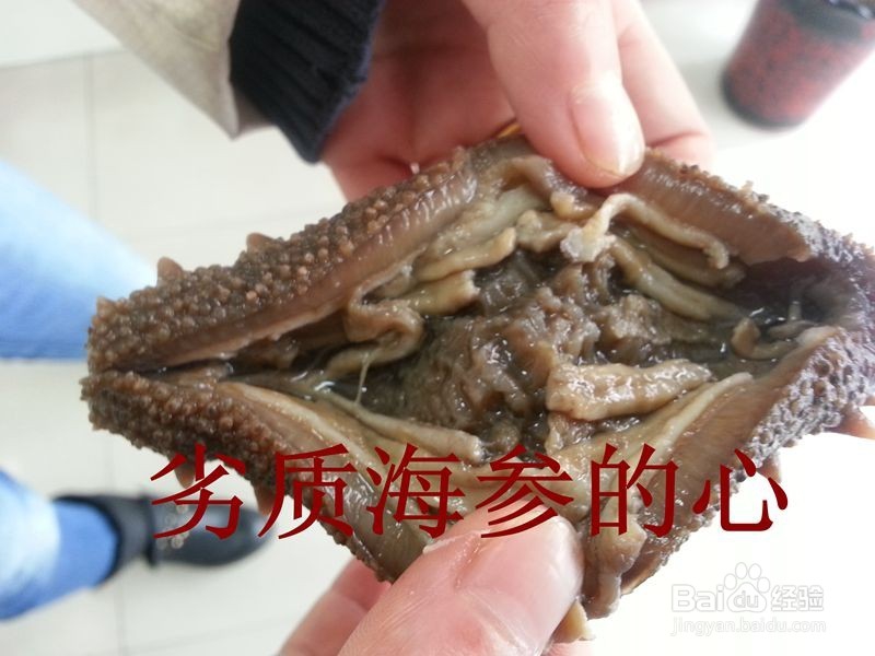 什么样的海参才是真正健康无害的好海参？