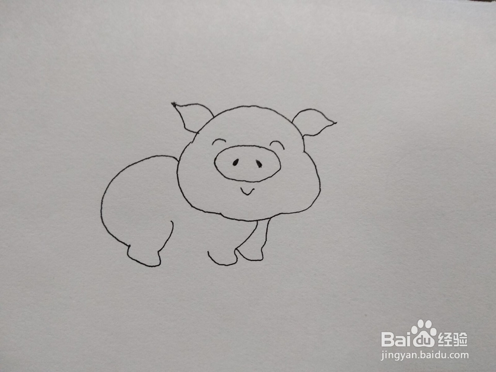 猪年爱心猪简笔画方法