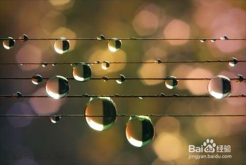 鼓励孩子 真情如花