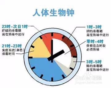 要是不熬夜该多好啊