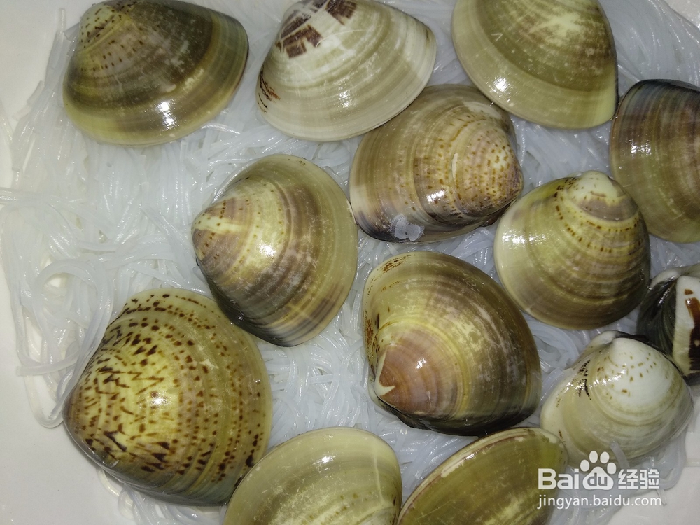 青蛾蒸蒜蓉粉丝