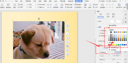 WPS文档中如何给图片添加渐变颜色的轮廓边缘