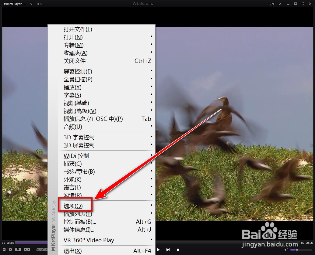 KMPlayer如何记住加载的音频位置