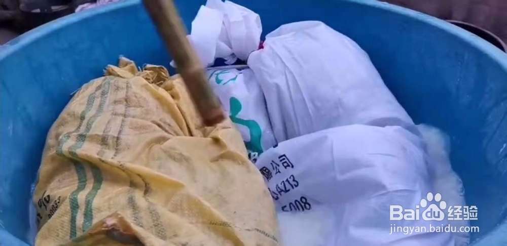 用稻草发平菇快速发菌秘诀与方法