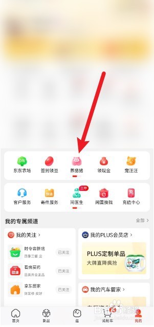 京东的养猪猪活动如何添加食物