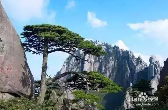 全国免费5A级旅游景点攻略