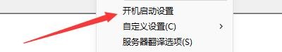 如何在Bodiansoft ITM程序设置只显示术语