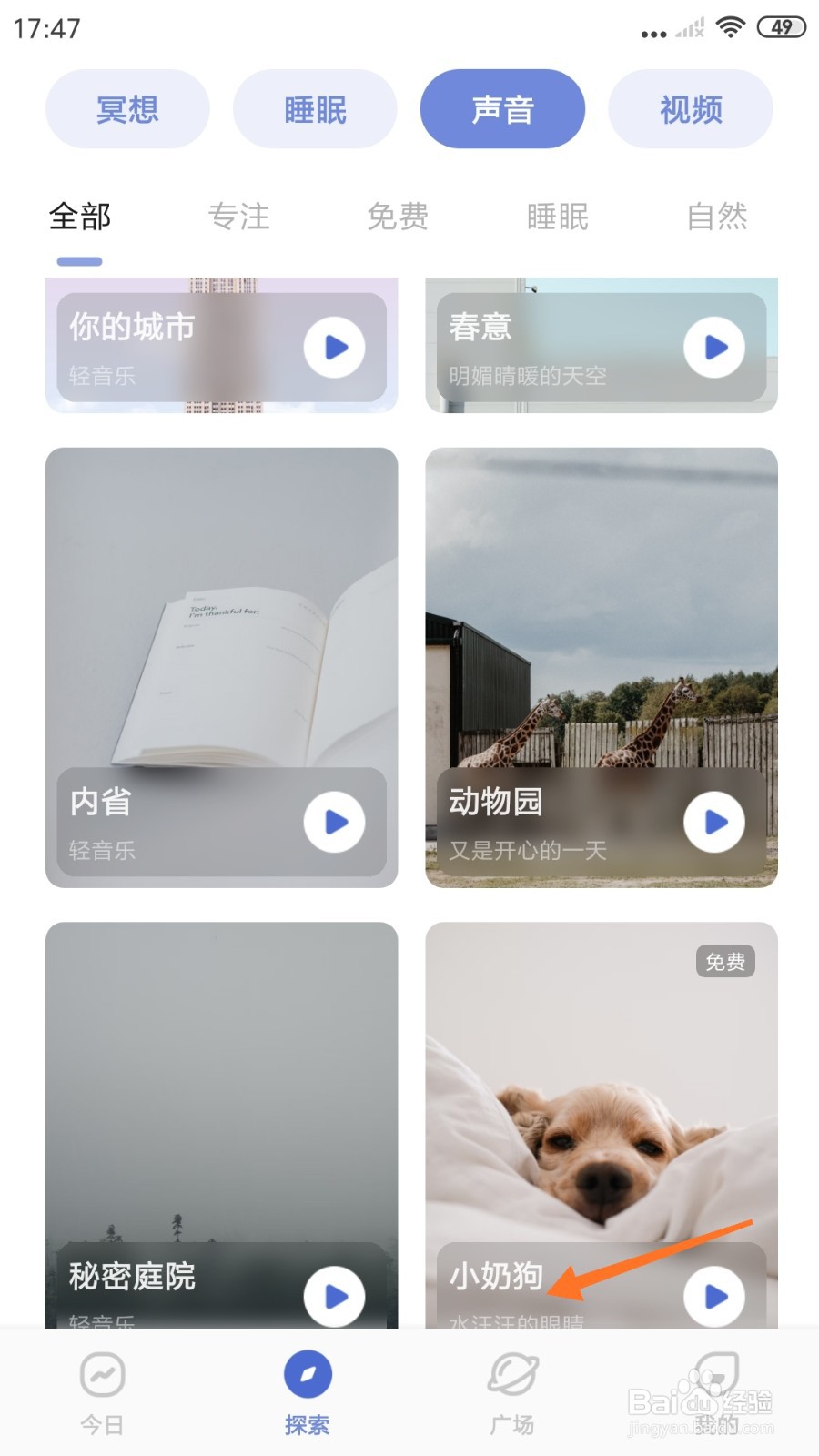 NiceDay中怎么试听小奶狗