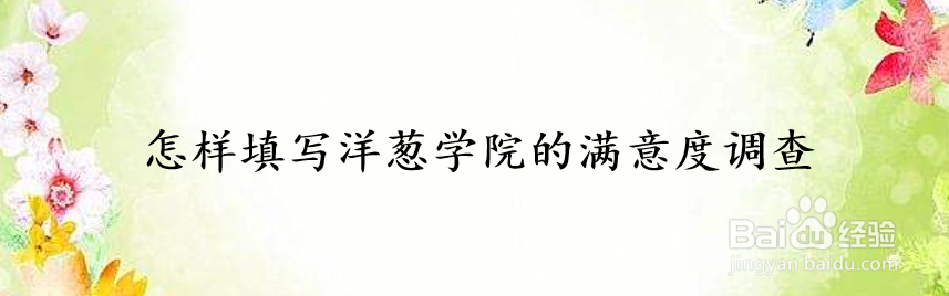 怎样填写洋葱学院的满意度调查