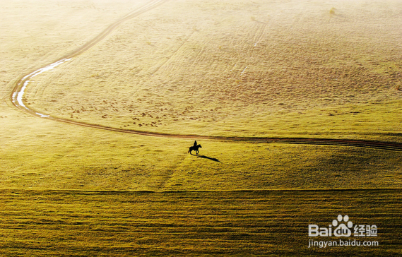 秋季要预防什么病
