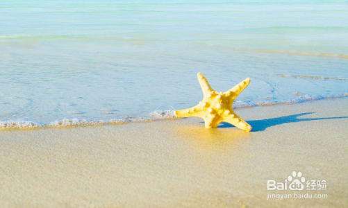 秋季去外地旅游应该注意什么？