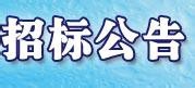 招标标段的划分