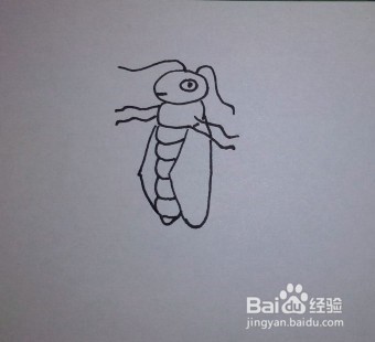 简笔画：教你怎么画蟋蟀
