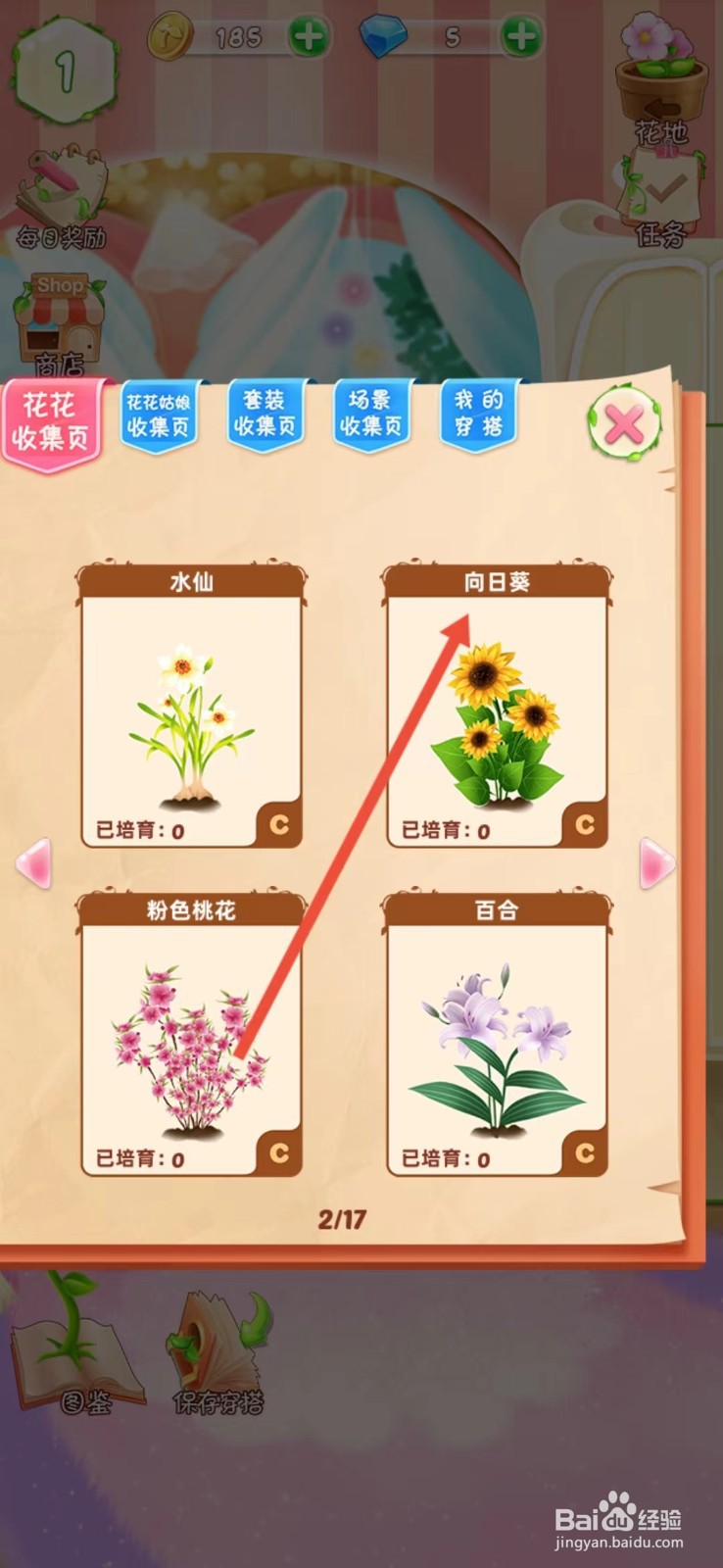 花花姑娘如何查看向日葵的【生长速度】
