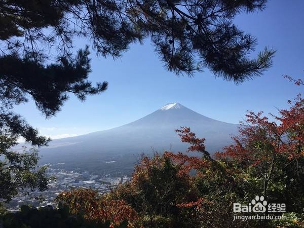 日本河口湖旅游攻略